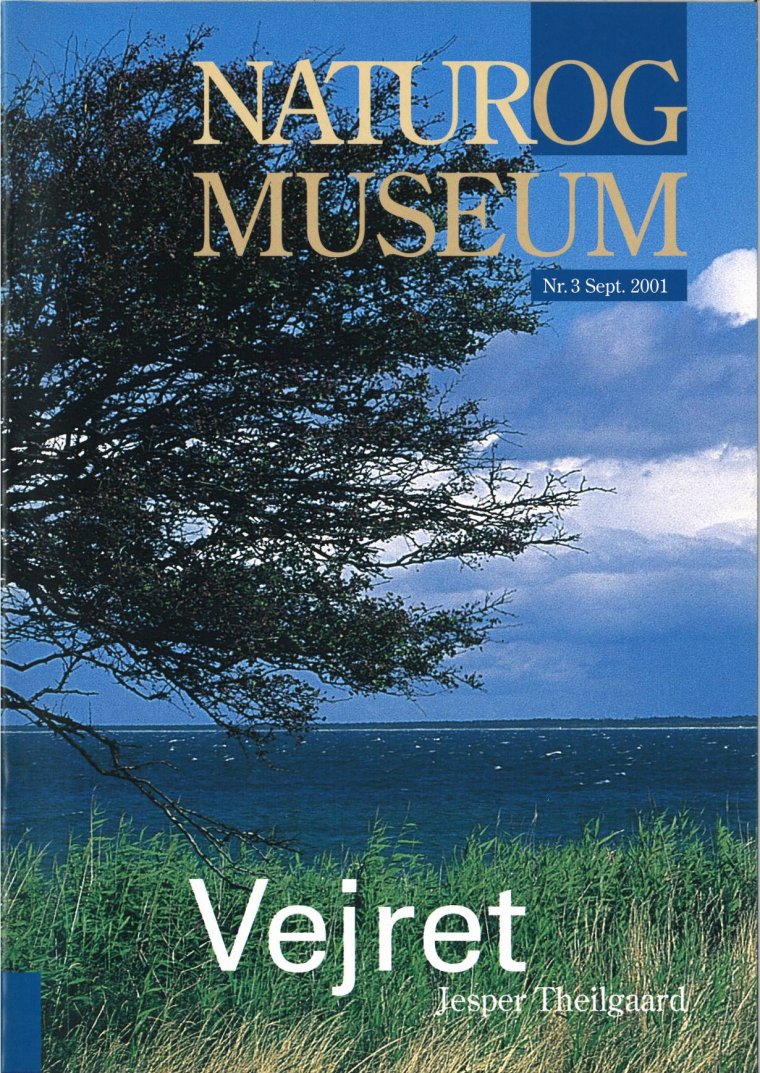 Vejret